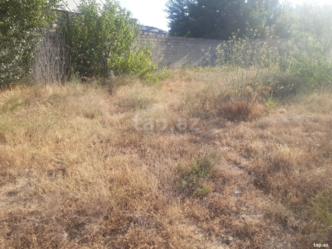 Satılır torpaq sahəsi