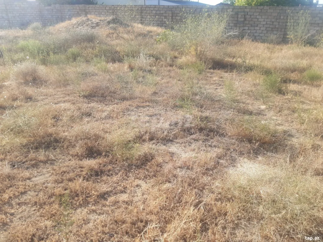 Satılır torpaq sahəsi