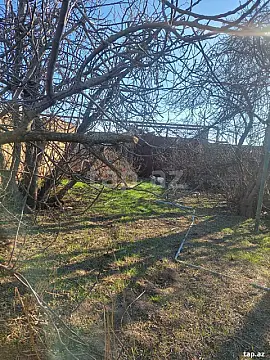 Satılır torpaq sahəsi — Bakı, Buzovna