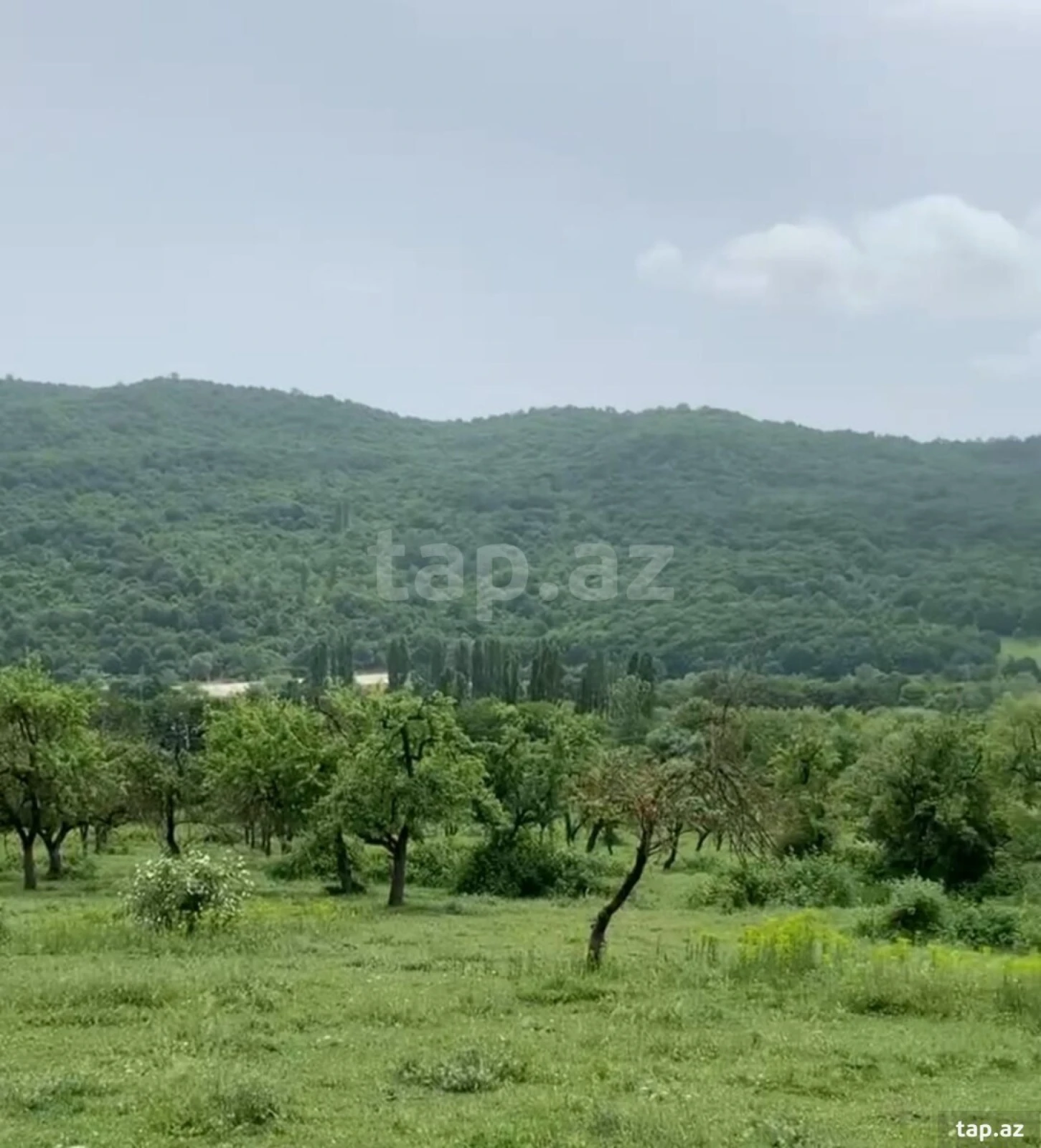 Satılır torpaq sahəsi