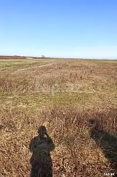 Satılır torpaq sahəsi — Xaçmaz