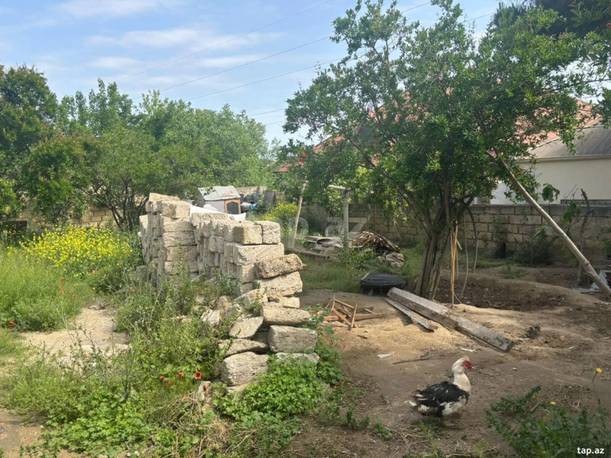 Satılır torpaq sahəsi