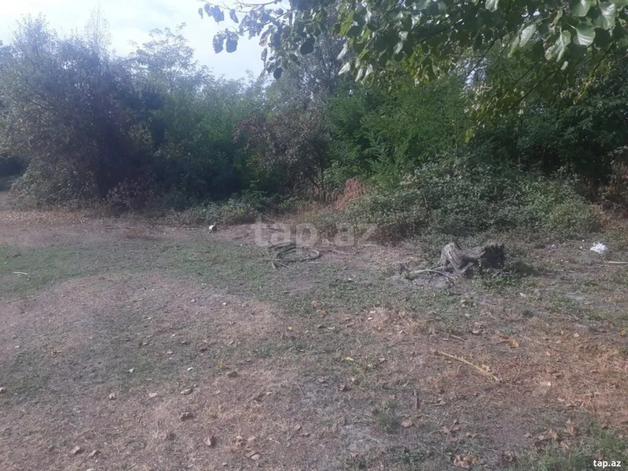 Satılır torpaq sahəsi