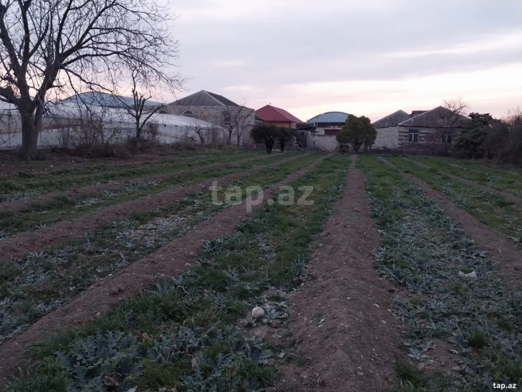 Satılır 3 otaqlı həyət evi