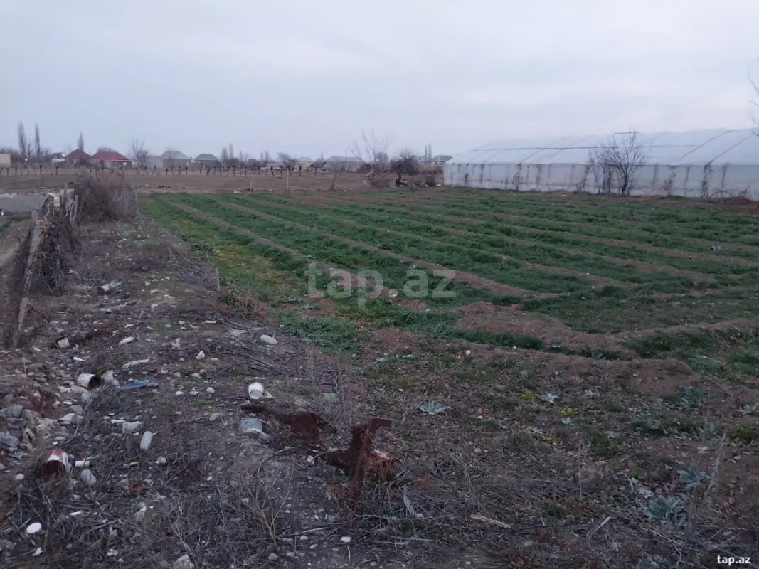 Satılır 3 otaqlı həyət evi