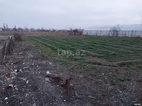 Satılır 3 otaqlı həyət evi