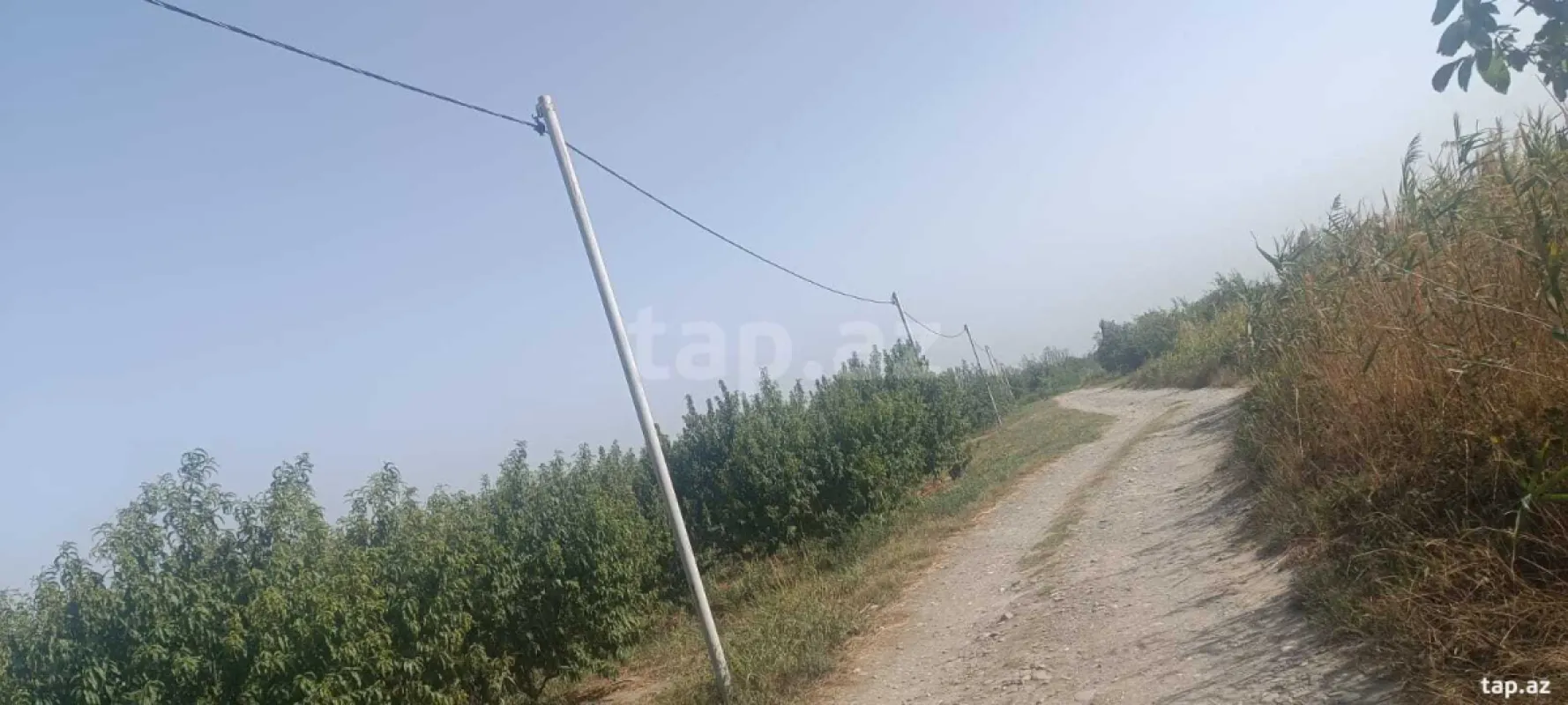 Satılır torpaq sahəsi