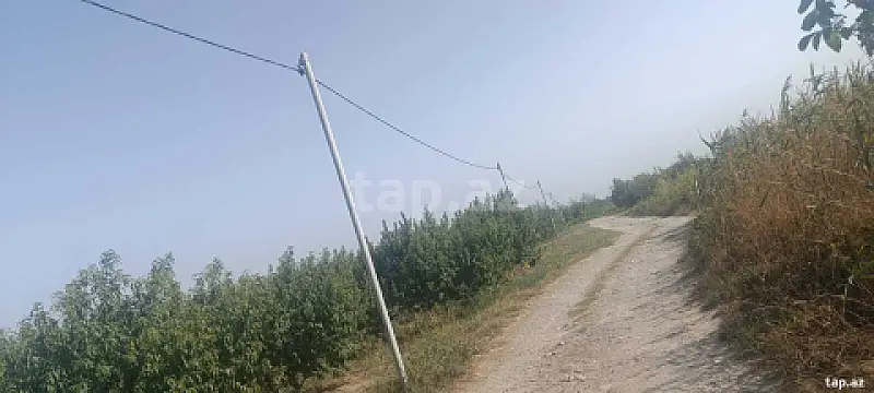 Satılır torpaq sahəsi