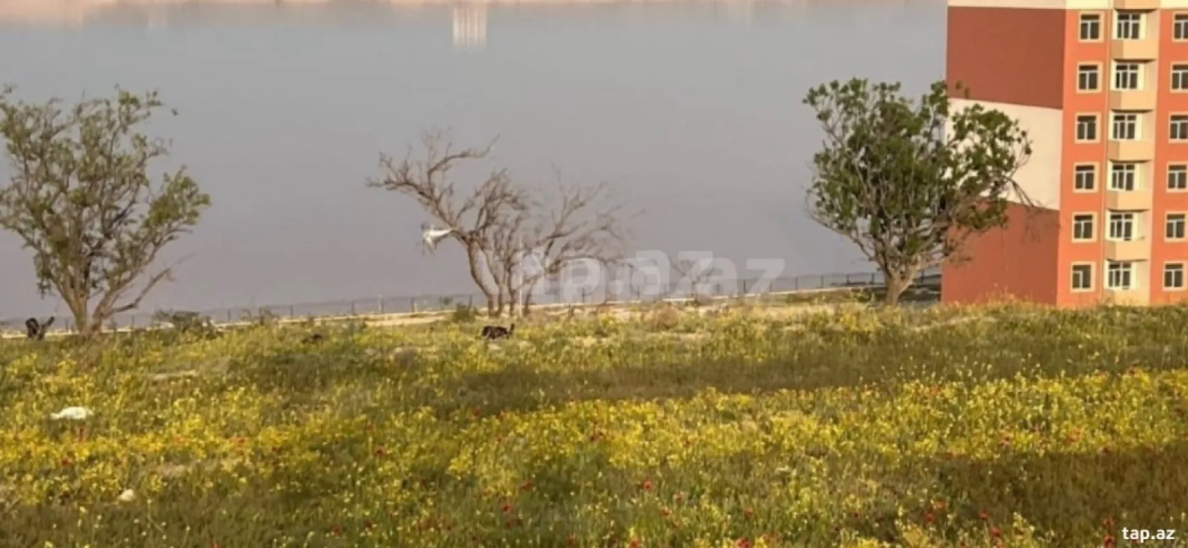 Satılır 2 otaqlı yeni tikili 70 m²