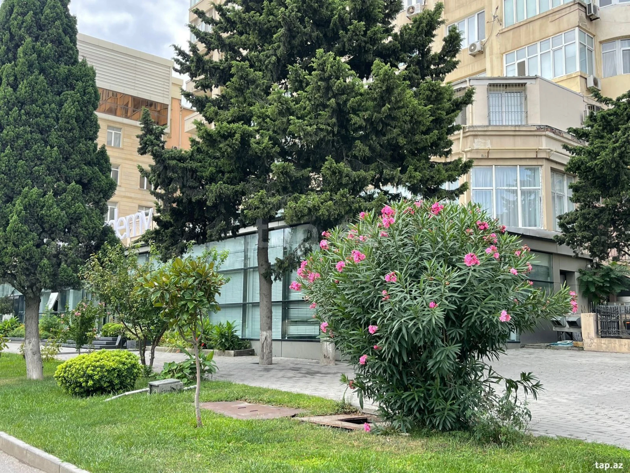 Kirayə verilir ofis