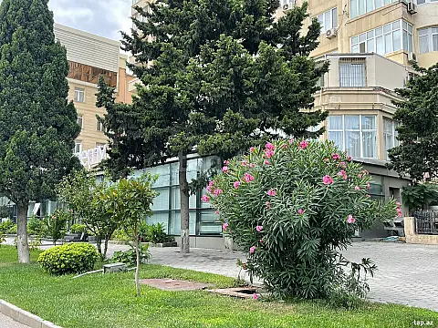 Kirayə verilir ofis