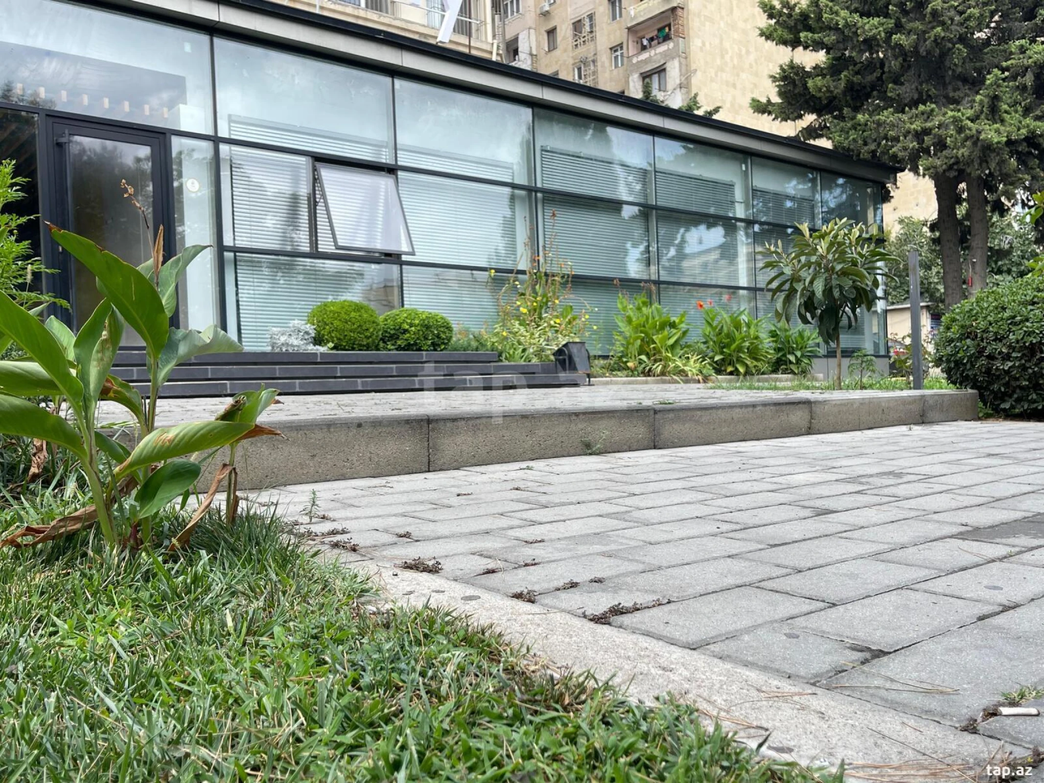 Kirayə verilir ofis