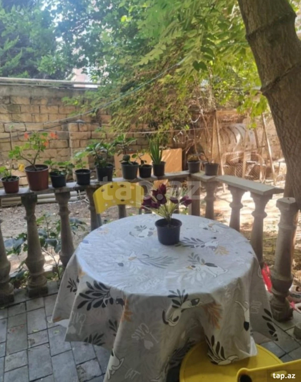 Kirayə verilir 3 otaqlı mənzil 200 m²