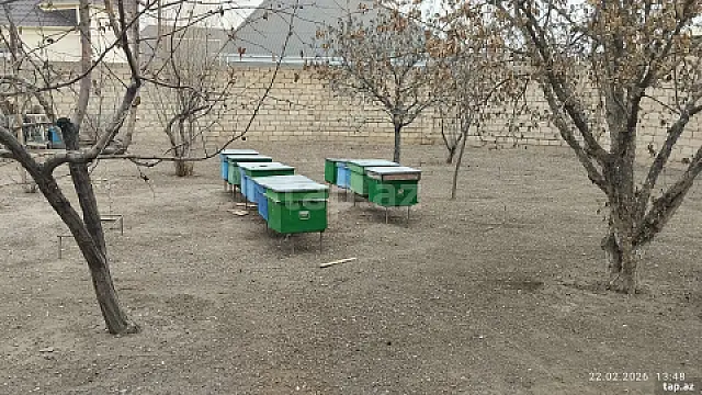 Satılır torpaq sahəsi — Gəncə