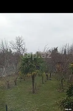 Satılır torpaq sahəsi — Zaqatala