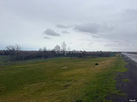 Satılır torpaq sahəsi — Lənkəran