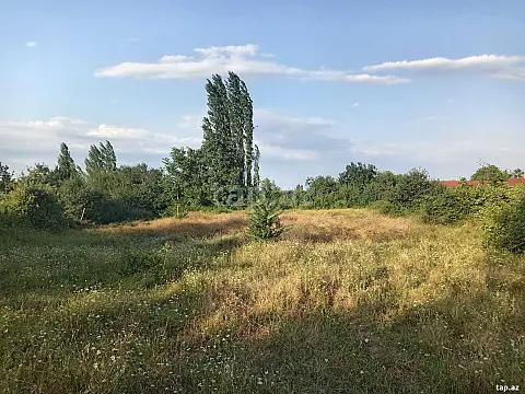 Satılır torpaq sahəsi — Tovuz
