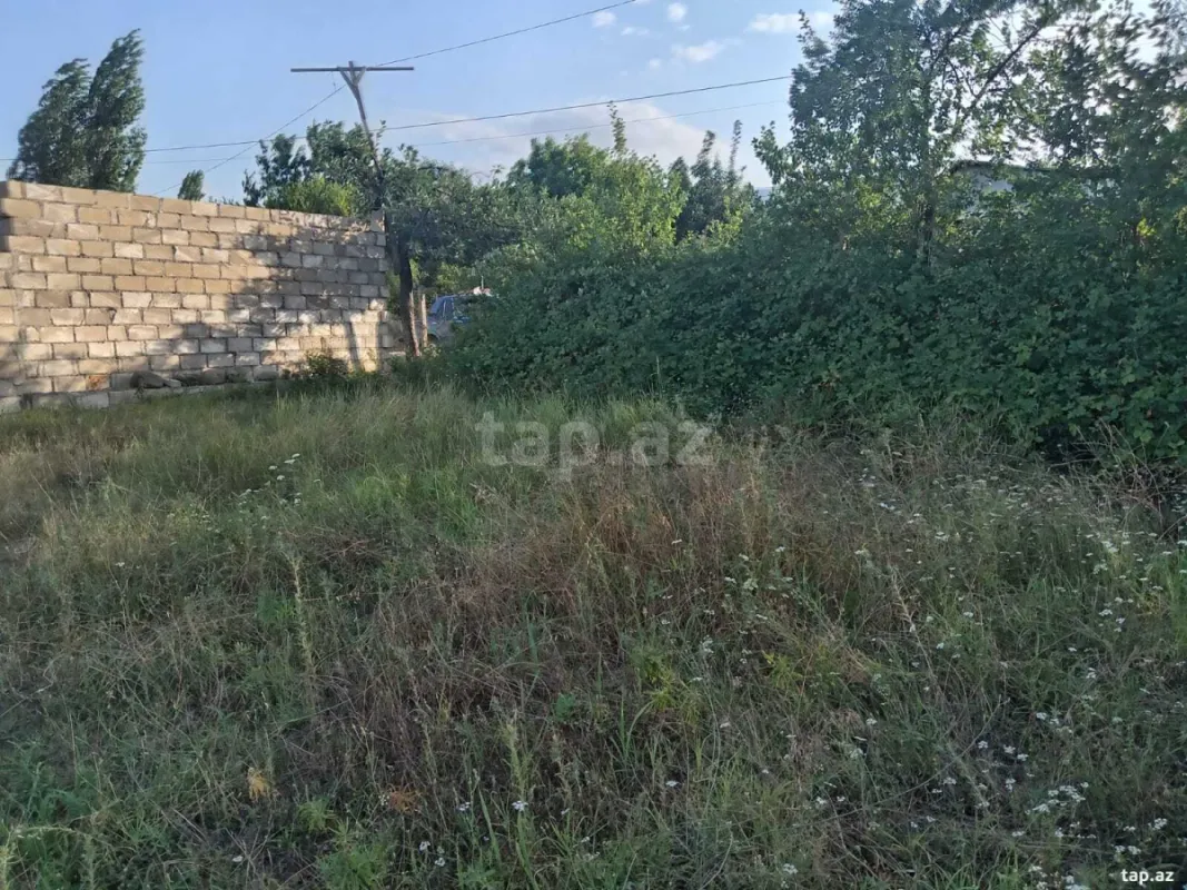 Satılır torpaq sahəsi