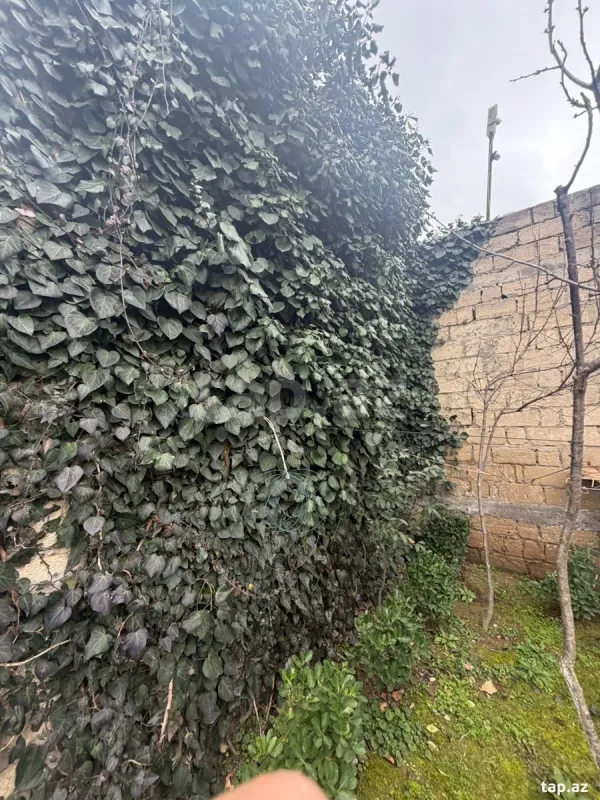 Satılır 7 otaqlı həyət evi