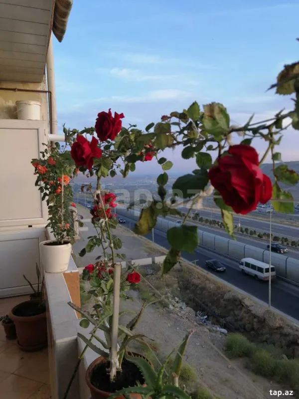 Kirayə verilir 2 otaqlı yeni tikili 92 m²