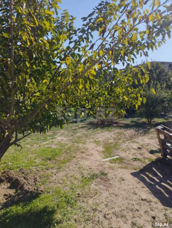 Satılır 3 otaqlı həyət evi