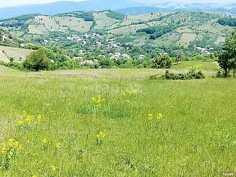 Satılır torpaq sahəsi — Quba