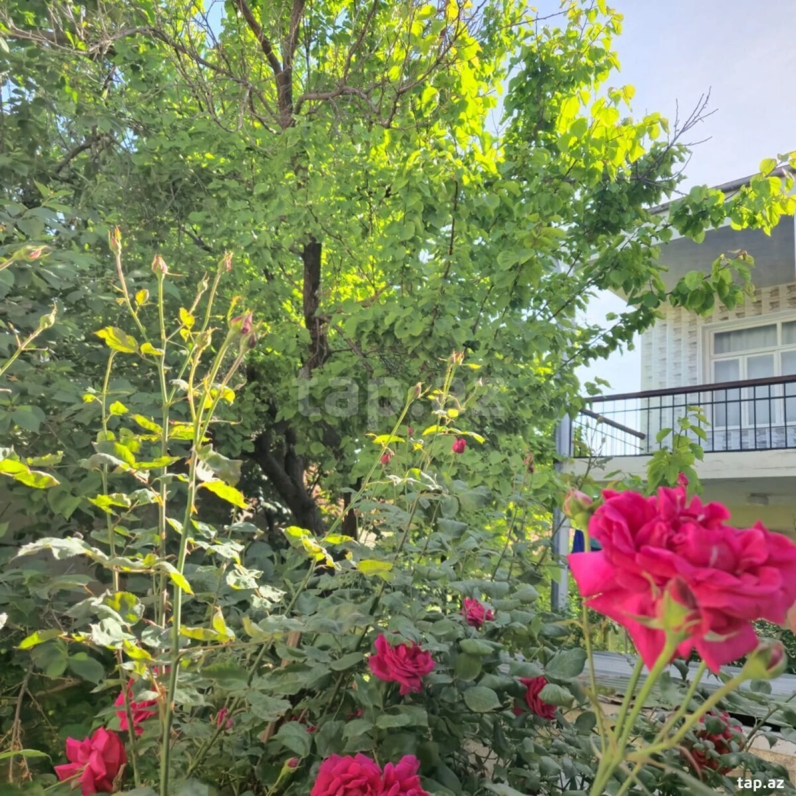 Satılır 4 otaqlı həyət evi