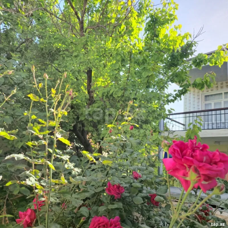 Satılır 4 otaqlı həyət evi