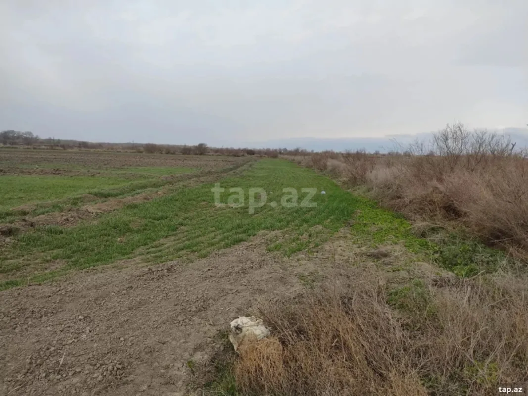 Satılır torpaq sahəsi