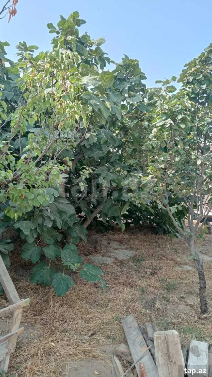 Satılır 3 otaqlı həyət evi