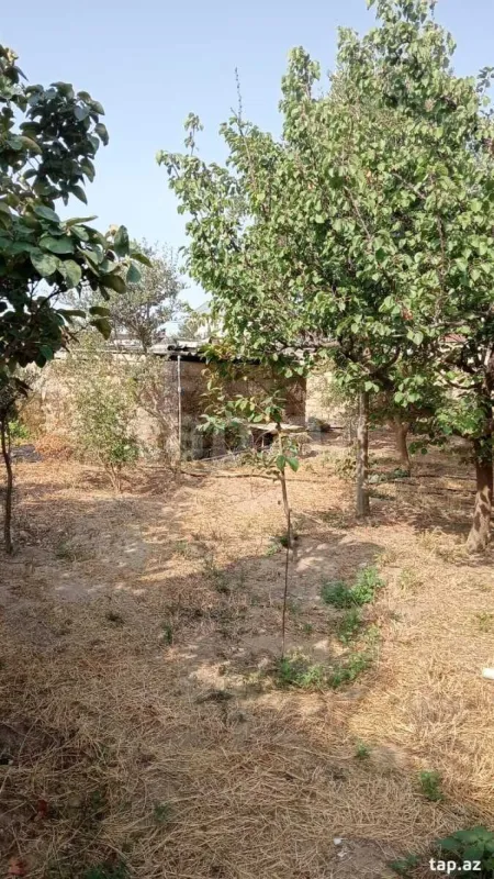 Satılır 3 otaqlı həyət evi