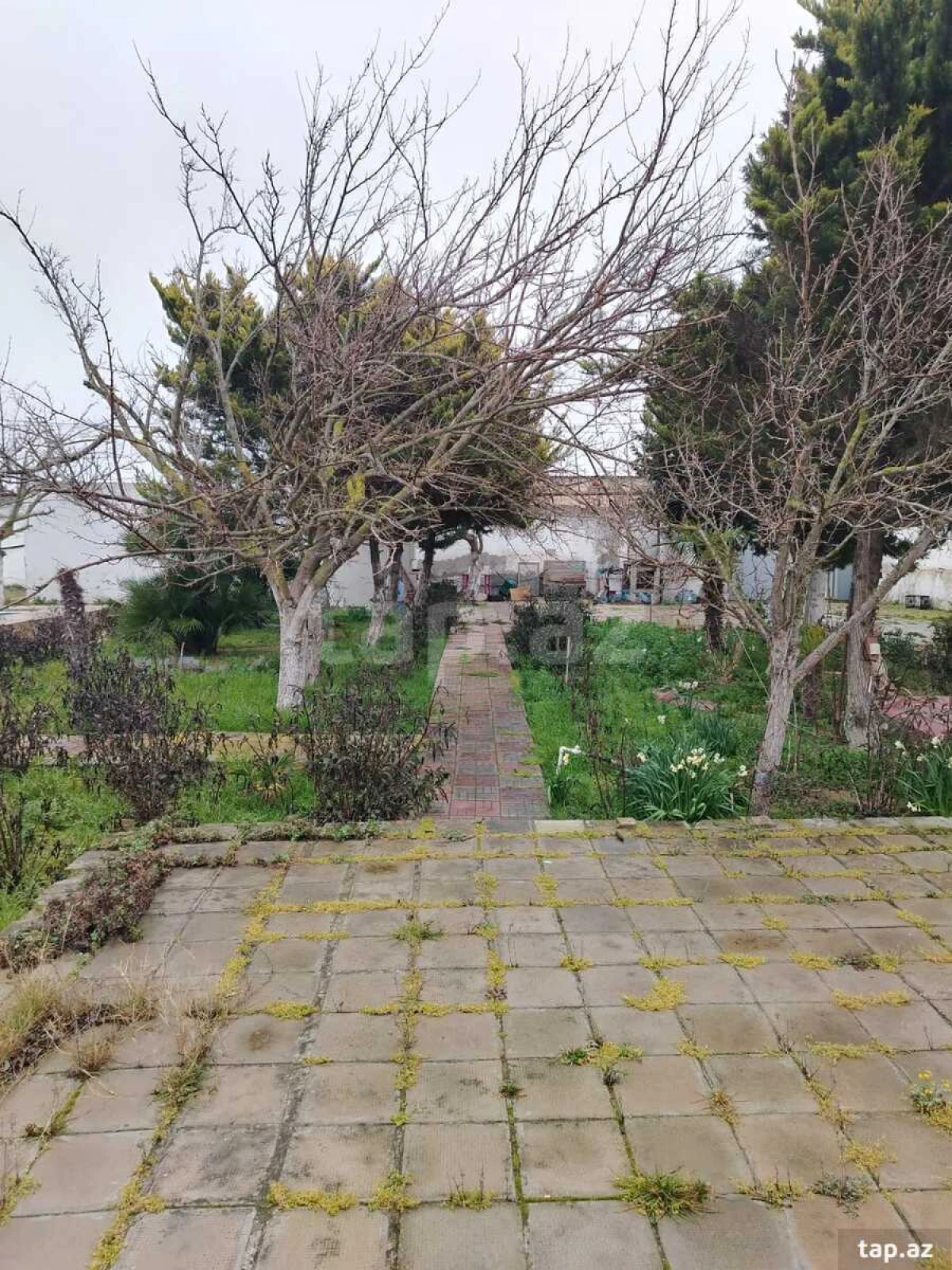 Satılır 3 otaqlı həyət evi