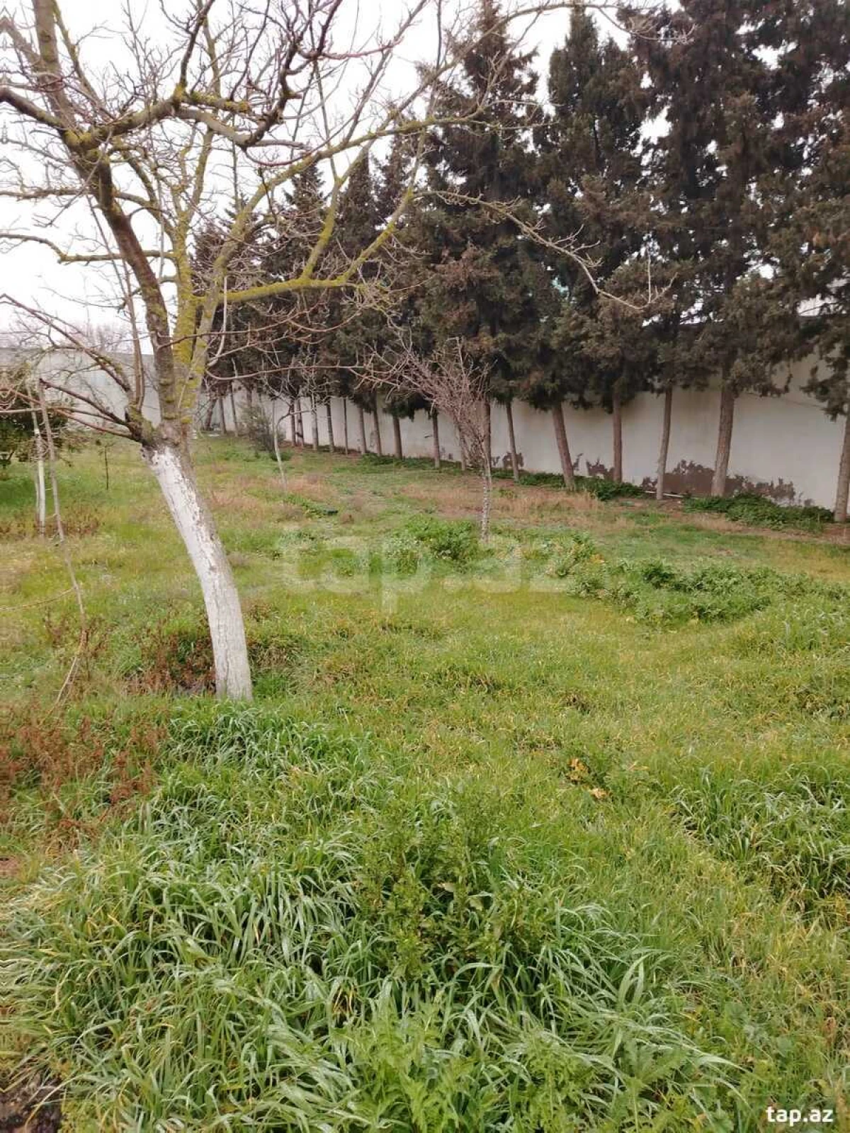 Satılır 3 otaqlı həyət evi