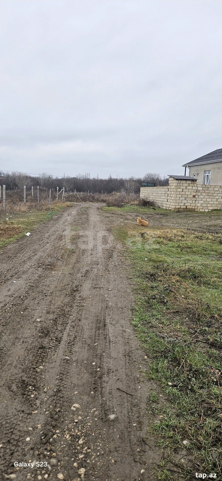 Satılır torpaq sahəsi