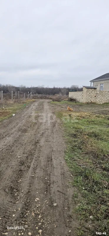 Satılır torpaq sahəsi