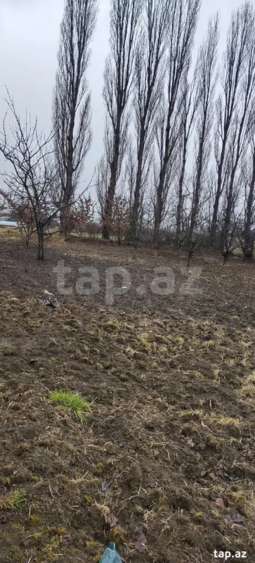 Satılır torpaq sahəsi