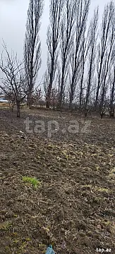 Satılır torpaq sahəsi — Quba