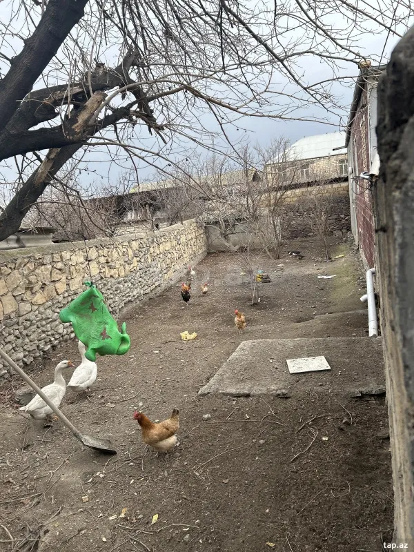 Satılır 5 otaqlı həyət evi