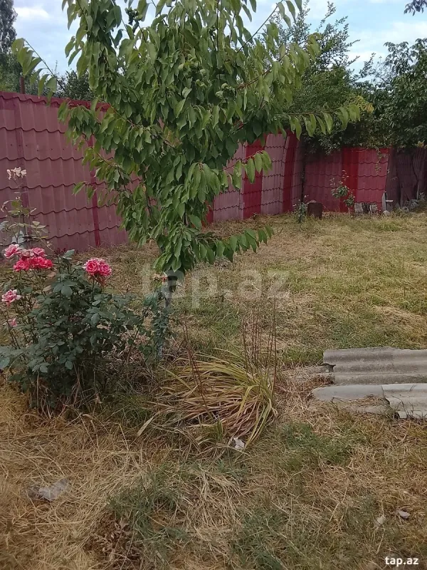 Satılır 4 otaqlı həyət evi