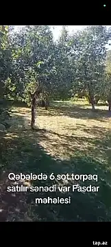 Satılır torpaq sahəsi — Qəbələ