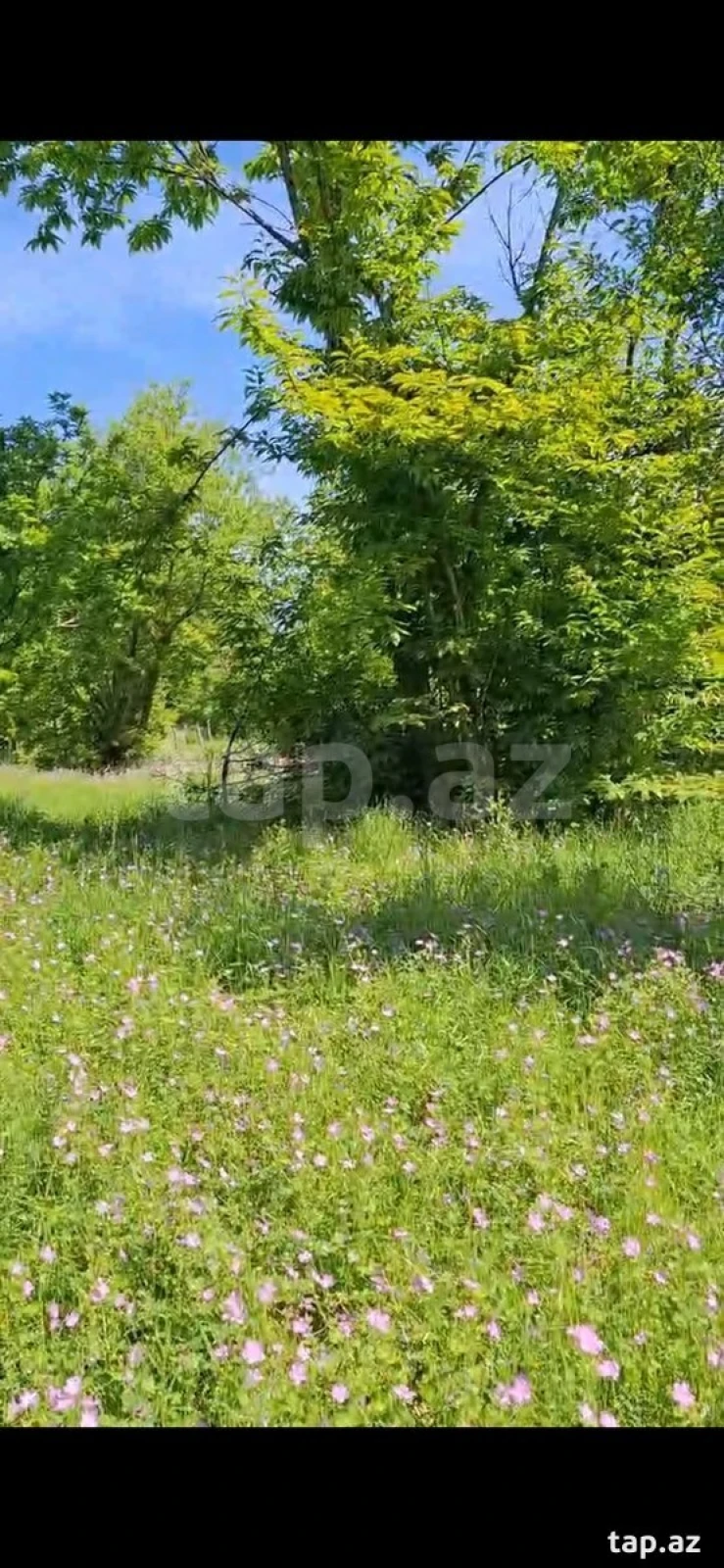 Satılır torpaq sahəsi