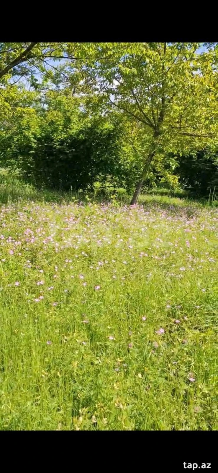 Satılır torpaq sahəsi