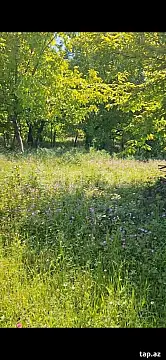 Satılır torpaq sahəsi — Qəbələ