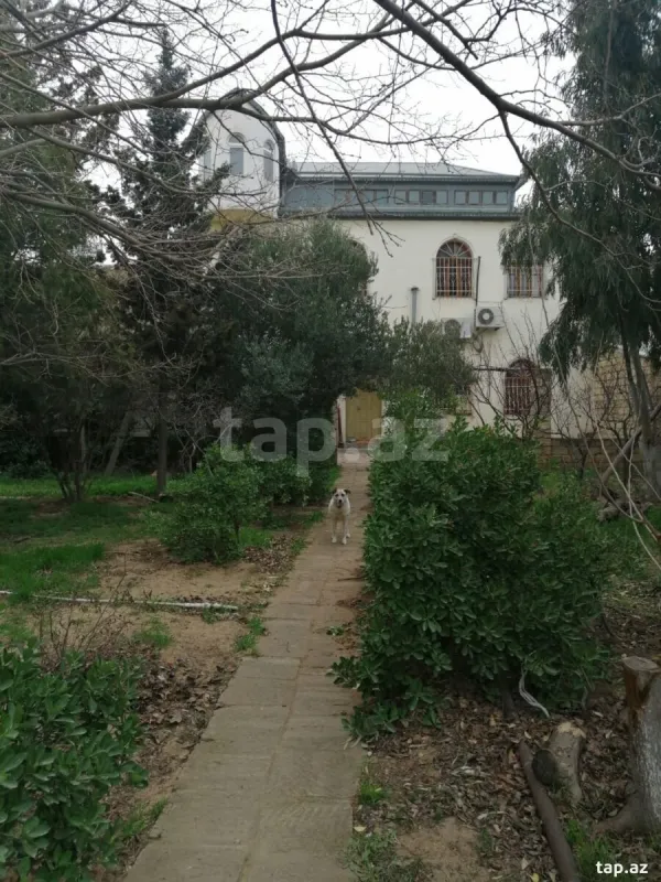 Satılır 6 otaqlı həyət evi