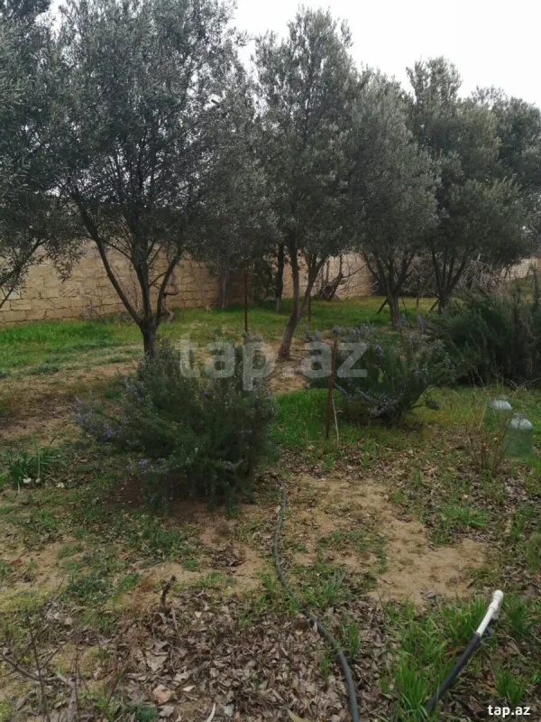 Satılır 6 otaqlı həyət evi