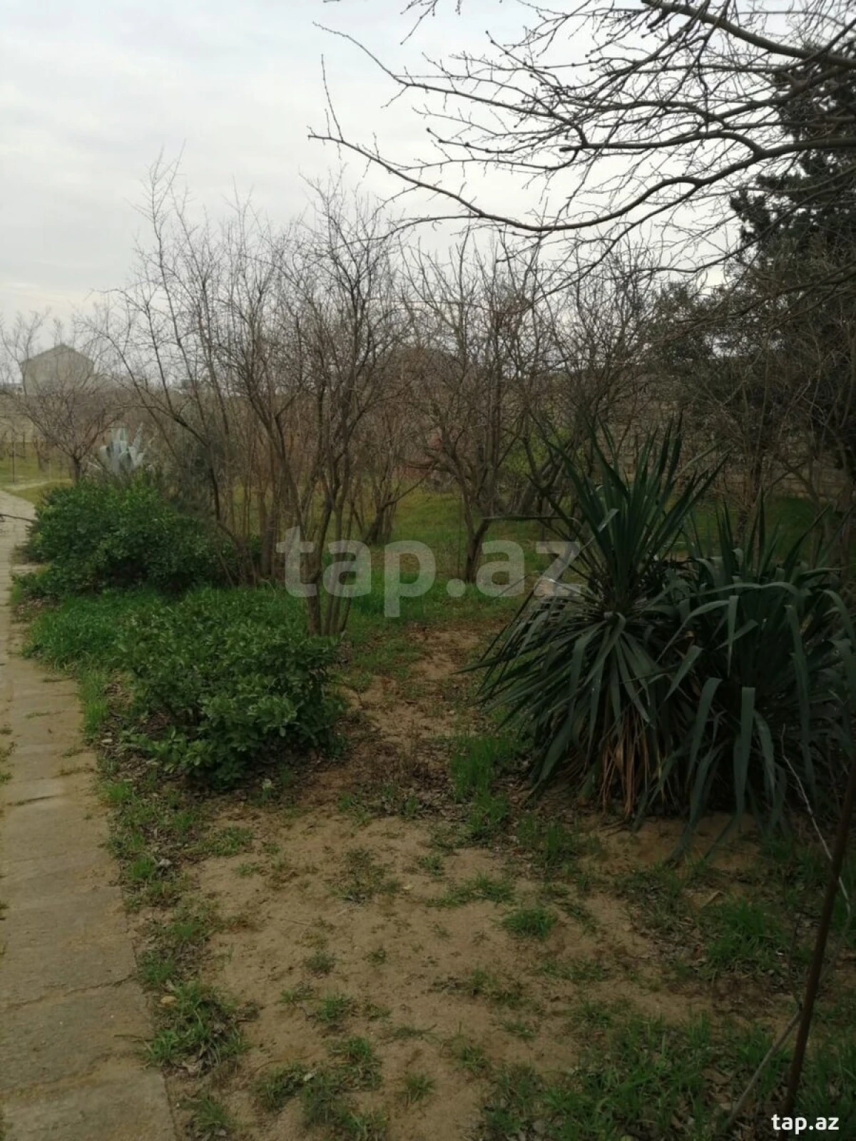 Satılır 6 otaqlı həyət evi