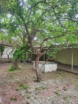 Satılır 6 otaqlı həyət evi