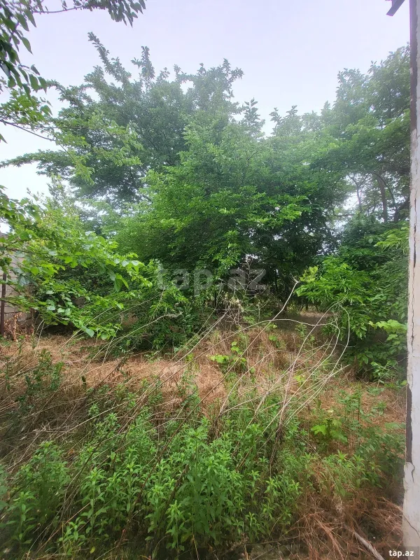 Satılır 6 otaqlı həyət evi