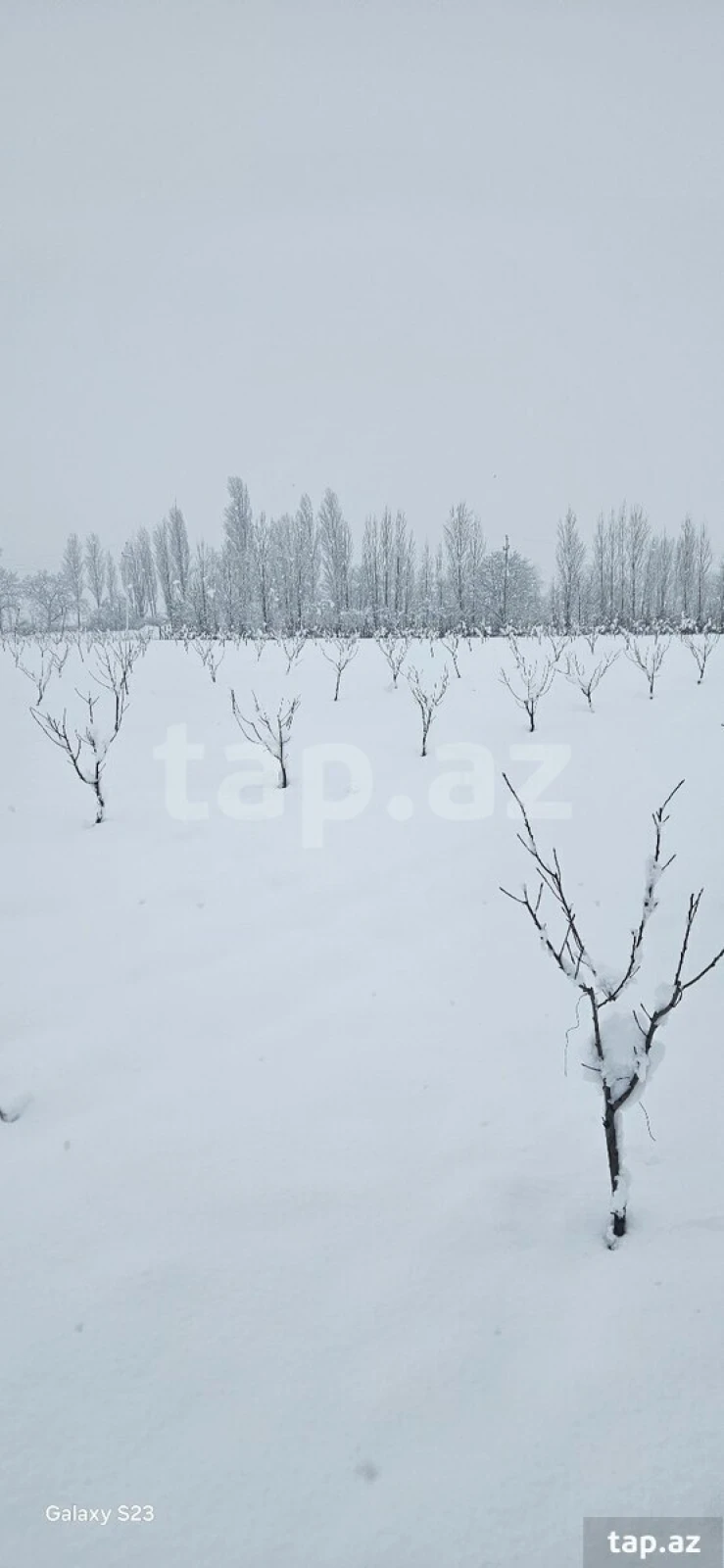 Satılır torpaq sahəsi