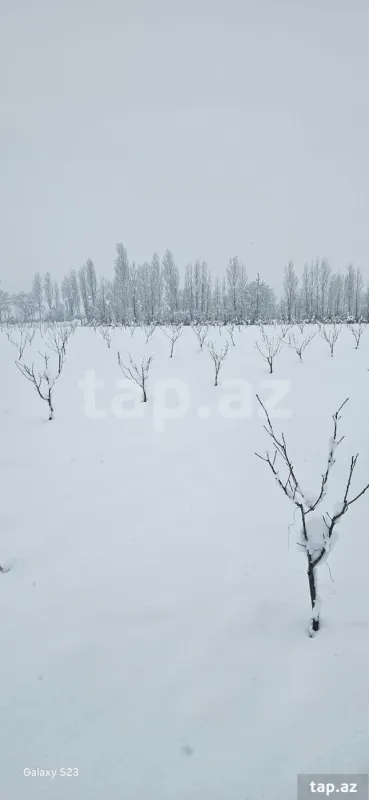 Satılır torpaq sahəsi